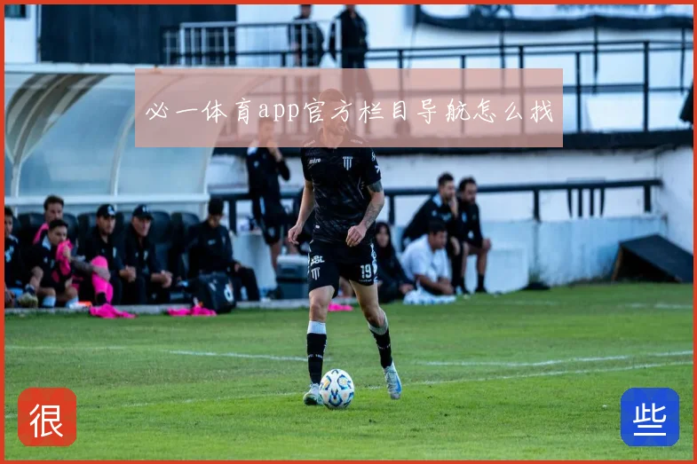 必一体育app官方栏目导航怎么找